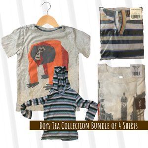 Tea Collection Bundle, Boys Size 12